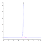 Human EPHA3 Protein (EPH-HM1A3)