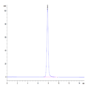 Human EPHA3 Protein (EPH-HM1A3)