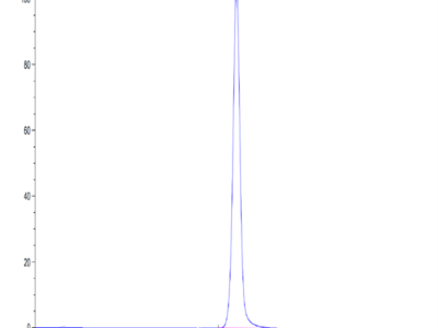 Human EPHA3 Protein (EPH-HM1A3)