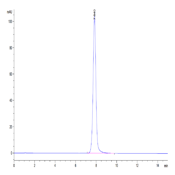 Human EPHA3 Protein (EPH-HM1A3) Human EPHA3 Protein (EPH-HM1A3)
