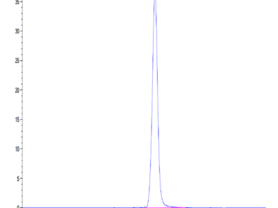 Human EPHA5 Protein (EPH-HM1A5)