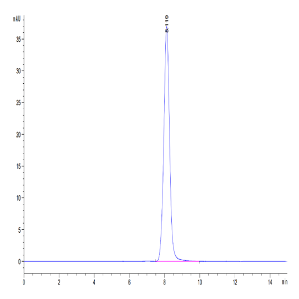 Human EPHA5 Protein (EPH-HM1A5) Human EPHA5 Protein (EPH-HM1A5)