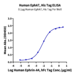 Human EphA7 Protein (EPH-HM1A7)