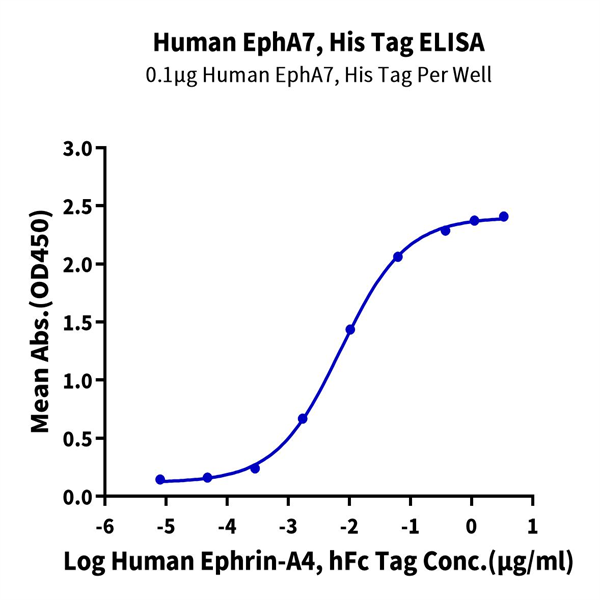 Human EphA7 Protein (EPH-HM1A7)