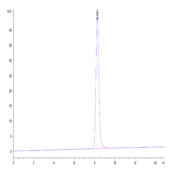 Human EphA7 Protein (EPH-HM1A7)