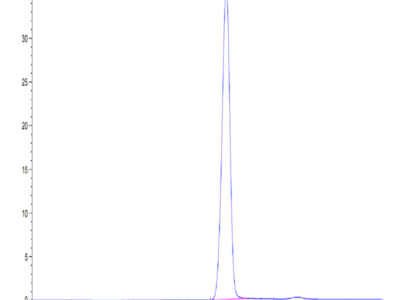 Human EphB3 Protein (EPH-HM1B3)