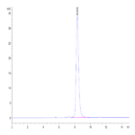 Mouse EPHB2 Protein (EPH-MM101)