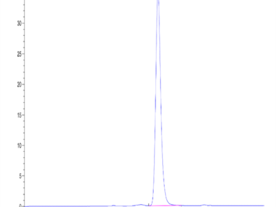 Mouse EPHB2 Protein (EPH-MM101)