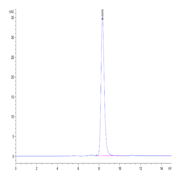 Mouse EPHB2 Protein (EPH-MM101) Mouse EPHB2 Protein (EPH-MM101)