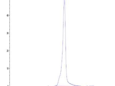 Mouse EPHA4 Protein (EPH-MM104)