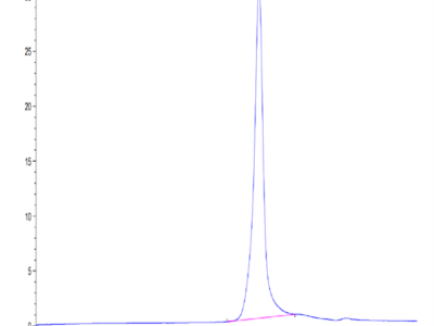 Mouse EPHA10 Protein (EPH-MM110)