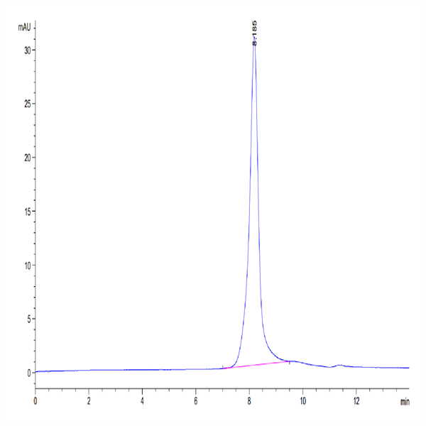 Mouse EPHA10 Protein (EPH-MM110) Mouse EPHA10 Protein (EPH-MM110)
