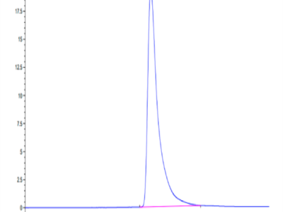 Mouse EPHA2 Protein (EPH-MM1A2)