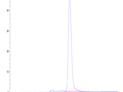 Mouse EPHA3 Protein (EPH-MM1A3)