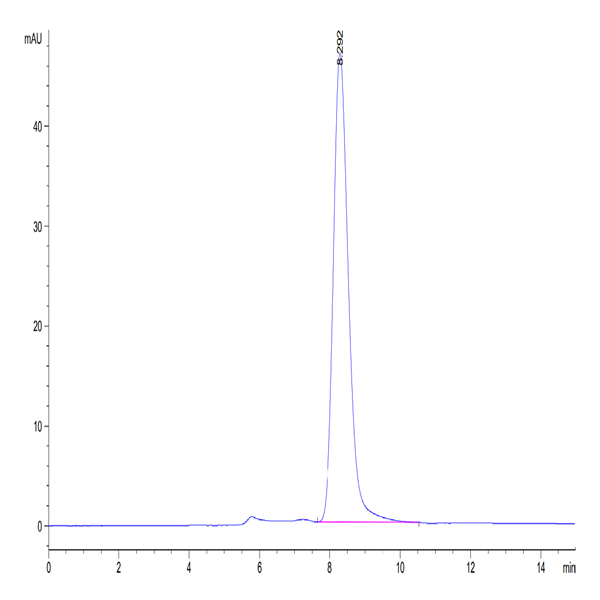 Mouse EPHA3 Protein (EPH-MM1A3) Mouse EPHA3 Protein (EPH-MM1A3)
