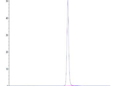 Mouse EPHA5 Protein (EPH-MM1A5)