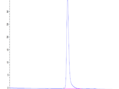 Mouse EphB3 Protein (EPH-MM1B3)