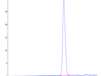 Canine EMMPRIN/CD147 Protein (EPN-DM147)