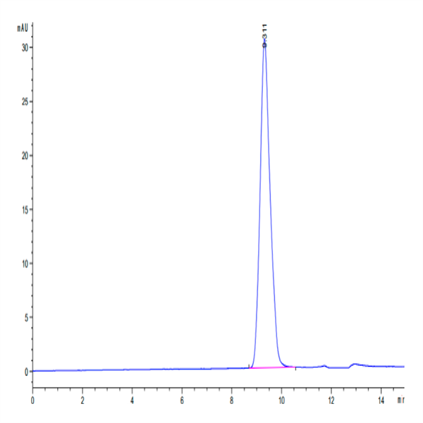 Canine EMMPRIN/CD147 Protein (EPN-DM147) Canine EMMPRIN/CD147 Protein (EPN-DM147)