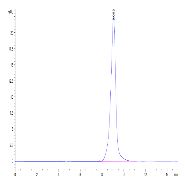 Human EMMPRIN/CD147 Protein (EPN-HM147)