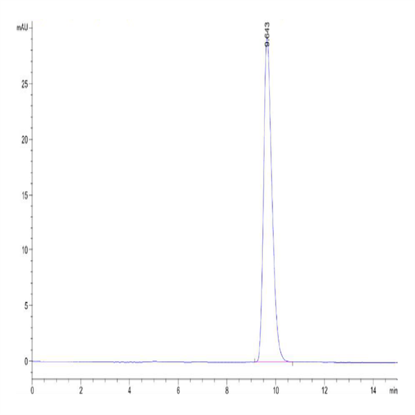 Human EPO/Erythropoietin Protein (EPO-HM001) Human EPO/Erythropoietin Protein (EPO-HM001)