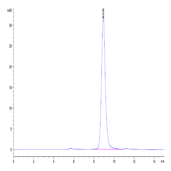 Human EREG Protein (ERE-HM201) Human EREG Protein (ERE-HM201)