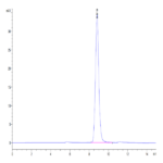 Mouse EREG Protein (ERE-MM201)