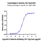 Cynomolgus E-selectin/CD62E Protein (ESE-CM101)