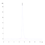 Cynomolgus E-selectin/CD62E Protein (ESE-CM101)