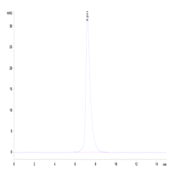 Cynomolgus E-selectin/CD62E Protein (ESE-CM101)
