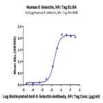 Human E-Selectin/CD62E Protein (ESE-HM201)