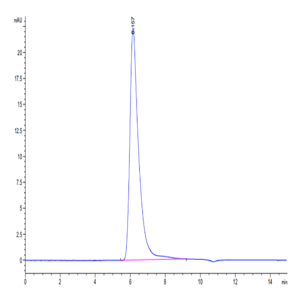 Human E-Selectin/CD62E Protein (ESE-HM201)