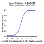 Human E-Selectin/CD62E Protein (ESE-HM401)