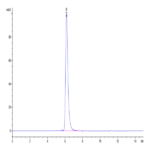 Human E-Selectin/CD62E Protein (ESE-HM401)