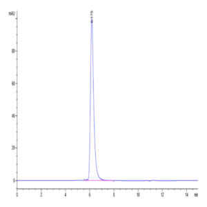 Human E-Selectin/CD62E Protein (ESE-HM401)