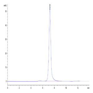Mouse E-Selectin/CD62E Protein (ESE-MM101)