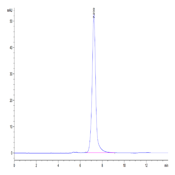 Mouse E-Selectin/CD62E Protein (ESE-MM101)