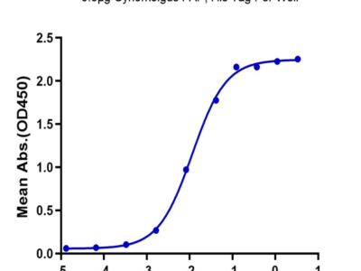 Cynomolgus FAP Protein (FAP-CM101)