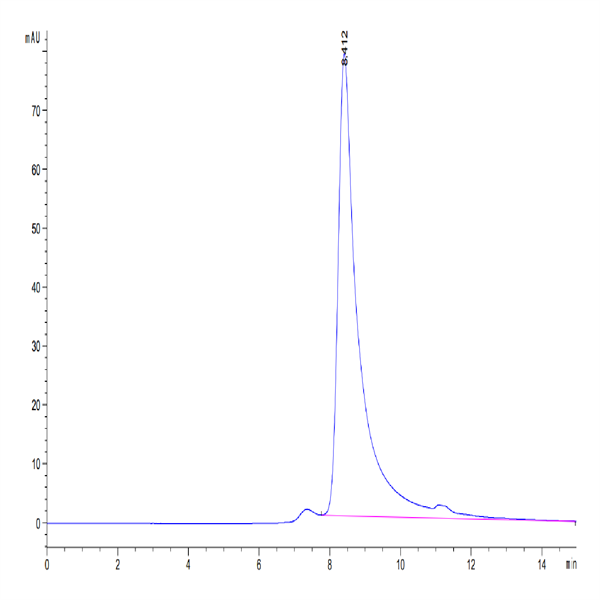 Cynomolgus FAP Protein (FAP-CM101)