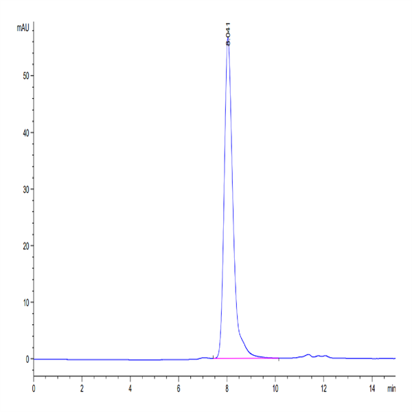 Biotinylated Cynomolgus FAP Protein (FAP-CM401B)