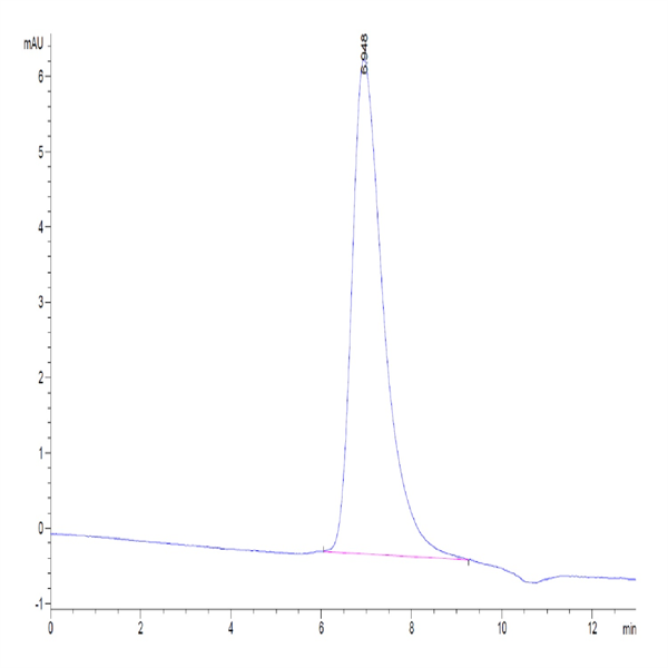 Human FAP Protein (FAP-HM101)