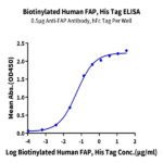 Biotinylated Human FAP Protein (FAP-HM401B)