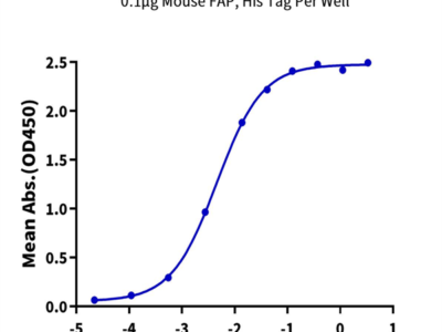 Mouse FAP Protein (FAP-MM101)
