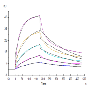 Human Fas Ligand/TNFSF6 Protein (FAS-HM10L)