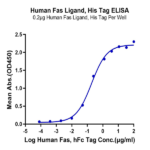 Human Fas Ligand/TNFSF6 Protein (FAS-HM10L)