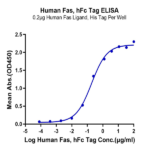 Human Fas/TNFRSF6/CD95 Protein (FAS-HM201)