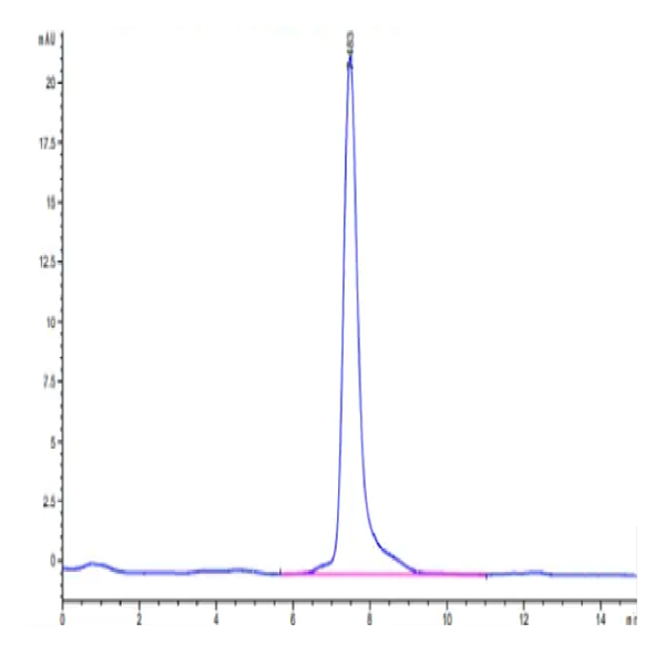Human FcRH5/FcRL5 Protein (FCR-HM101)