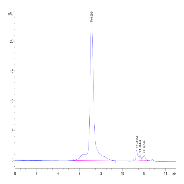 Biotinylated Human FcRH5/FcRL5 Protein (Primary Amine Labeling) (FCR-HM101B)