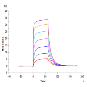 Human Fc gamma RIIIB/CD16b (NA1) Protein (FCR-HM11B)