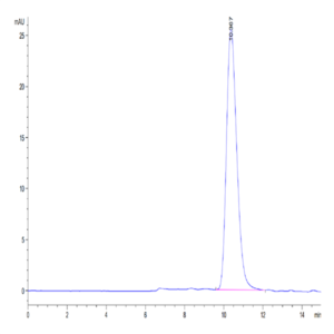Human Fc gamma RIIIB/CD16b (NA1) Protein (FCR-HM11B)